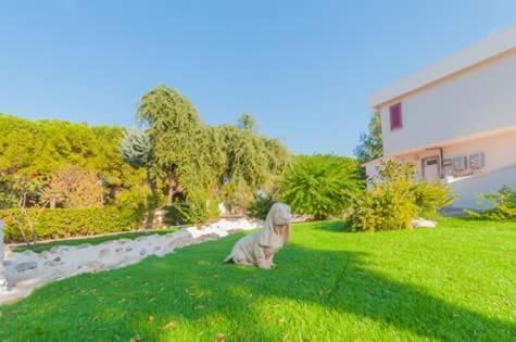 Paradise Beb Giovinazzo Buitenkant foto